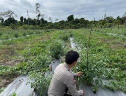 Personel Polsek Tewang Sangalang Garing dan Pulau Malan melaksanakan pengecekan lokasi pemanfaatan lahan pekarangan warga Binaannya