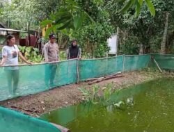 Pekarangan Produktif Jadi Langkah Nyata Polsek Kapuas Barat Dukung Ketahanan Pangan di Sei Kayu