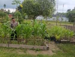 Mendukung Ketahanan Pangan, Personil Polsek Katingan Hulu Cek Lokasi Pemanfaatan Pekarangan Warga.