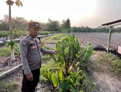 Dalam Rangka Mendukung Program Pemerintah, Bhabinkamtibmas Desa Tewang Kampung Polsek Mendawai Cek Lokasi Pemanfaatan Lahan Pekarangan Warga
