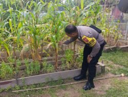 Mendukung Ketahanan Pangan, Personil Polsek Katingan Hulu Cek Lokasi Pemanfaatan Pekarangan Warga.