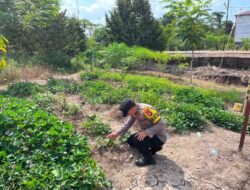 Dalam Rangka Mendukung Program Pemerintah, Bhabinkamtibmas Desa Mendawai Polsek Mendawai Cek Lokasi Pemanfaatan Lahan Pekarangan Warga