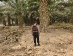 *PATROLI DIPERKETAT, SATSAMAPTA POLRES BARTIM KAWAL AREAL PT. ISA I DAN AMS CEGAH KARHUTLA*