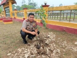 Dukung Program Green Policing, Plh Kapolres Murung Raya Tanam Pohon