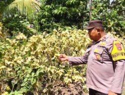 Giat Monitoring Dan Pendampingan Pemanfaatan Lahan Pekerangan Dalam Rangka Implementasi Asta Cita Presiden Republik Indonesia Dalam Bidang Ketahanan Pangan Oleh Polsek kapuas Hilir Polres Kapuas