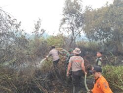 Tim Gabungan Padamkan Karhutla Seluas 2 Hektare di Pulau Telo Baru, Kapuas