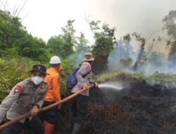 Tim Gabungan Bergerak Cepat, Karhutla Seluas 4 Hektare di Sei Kayu Kapuas Berhasil Dikendalikan