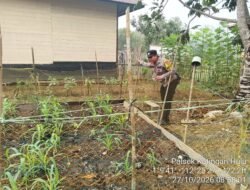 ‎Mendukung Ketahanan Pangan, Personil Polsek Katingan Hulu  Cek Lokasi Pemanfaatan Pekarangan Warga.
