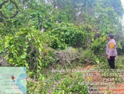 BHABINKAMTIBMAS PERSIL RAYA SAMBANGI WARGA YANG RUMAHNYA TERTIMPA POHON TUMBANG