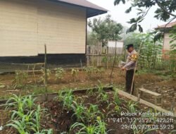Mendukung Ketahanan Pangan, Personil Polsek Katingan Hulu  Cek Lokasi Pemanfaatan Pekarangan Warga.